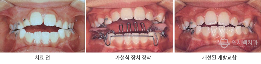 fig1.jpg