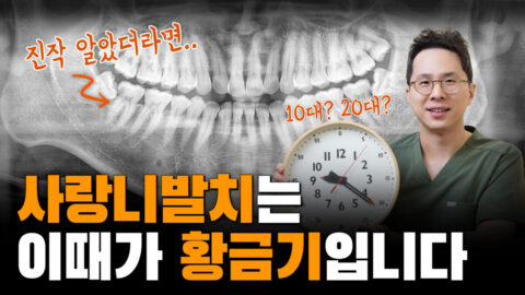 사랑니 발치는 이때가 황금기입니다! | 사랑니 발치시기
