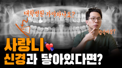 사랑니가 신경과 닿아있다면? | 사랑니로 인한 감각이상 가능성